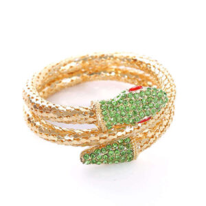 Snake Bracelet with Diamond